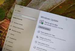 Windows 10 version 1903 update settings
